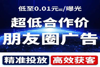 某电商平台的SEM广告投放策略及效果评估